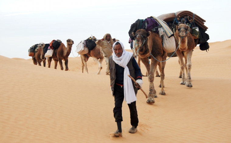 Kartāgas drupās, tuksnesī un liedagos - Tunisija